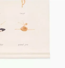 Ballet Basics Poster