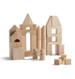 Basic Building Blocks 60 Piece Large Starter Set