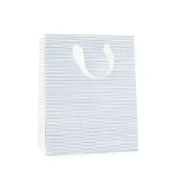 Blue Painted Stripe Gift Bag