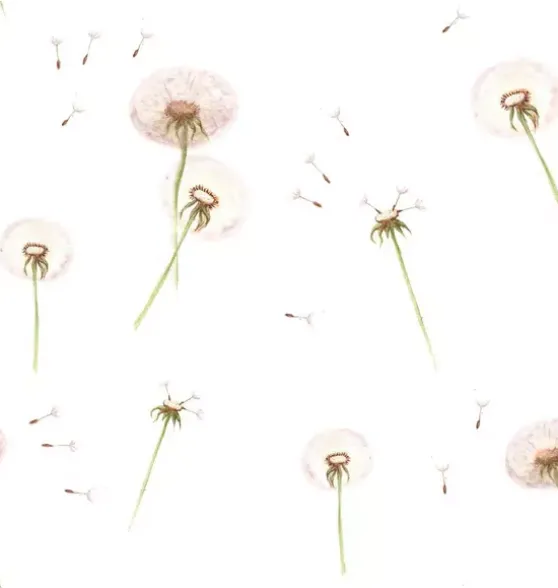 Dandelions Wallpaper