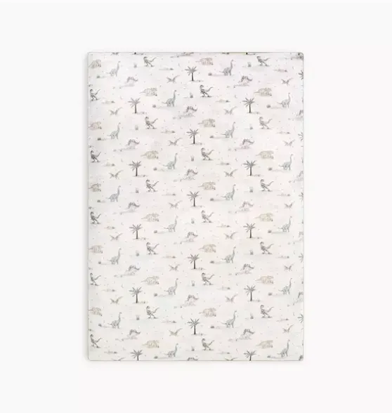 Dino Dreams Baby Duvet Set - Sage