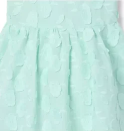 Floral Appliqu&eacute; Dress