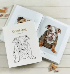 GOOD DOG  LEATHER EDITION