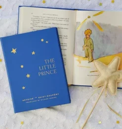 LITTLE PRINCE  LEATHER EDITION