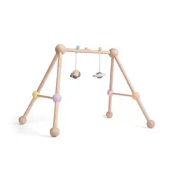 PLAY GYM
