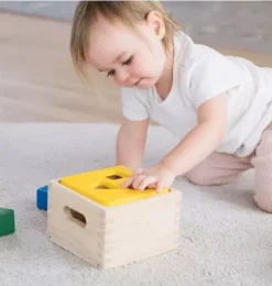 Shape & Sort It Out