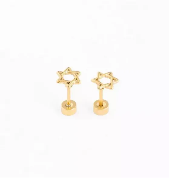 Star Of David Stud Earrings