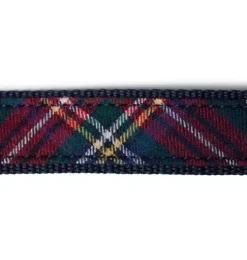 Tartan Belt