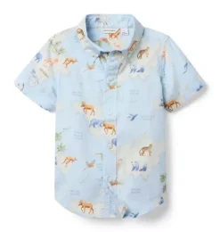 The Poplin Shirt