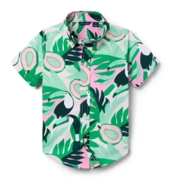 The Poplin Shirt