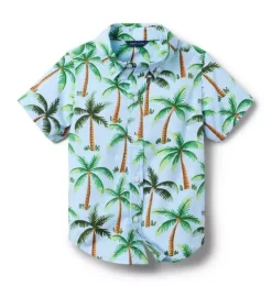The Poplin Shirt