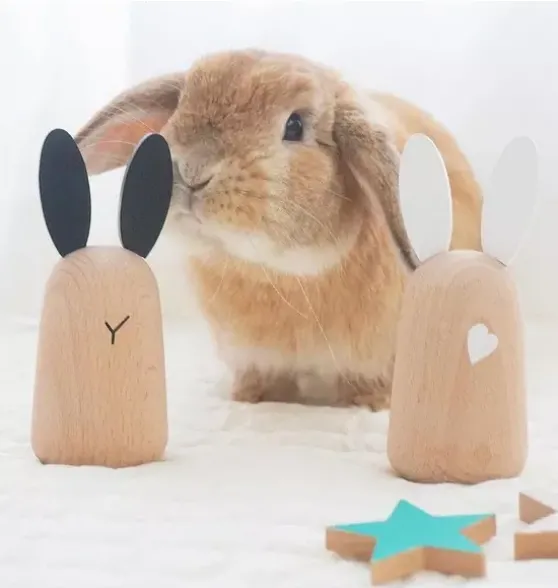 Usagi Wooden Bunny Chimes