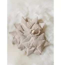 Velvet &ldquo;Cream Dust&rdquo; Garland with Stars