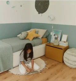 Washable Rug Moon Multishape