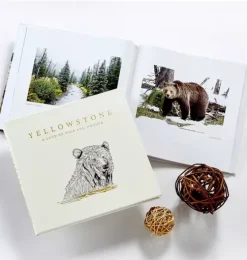 Yellowstone: A Land of Wild and Wonder LEATHER EDITION