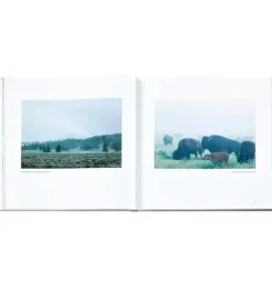 Yellowstone: A Land of Wild and Wonder LEATHER EDITION